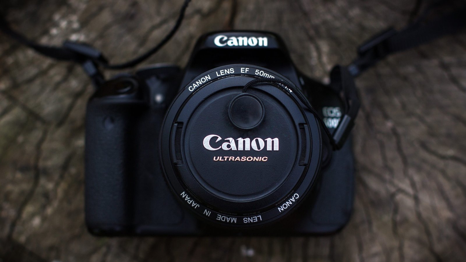 HD Canon Camera  EOS Rebel T7 Example